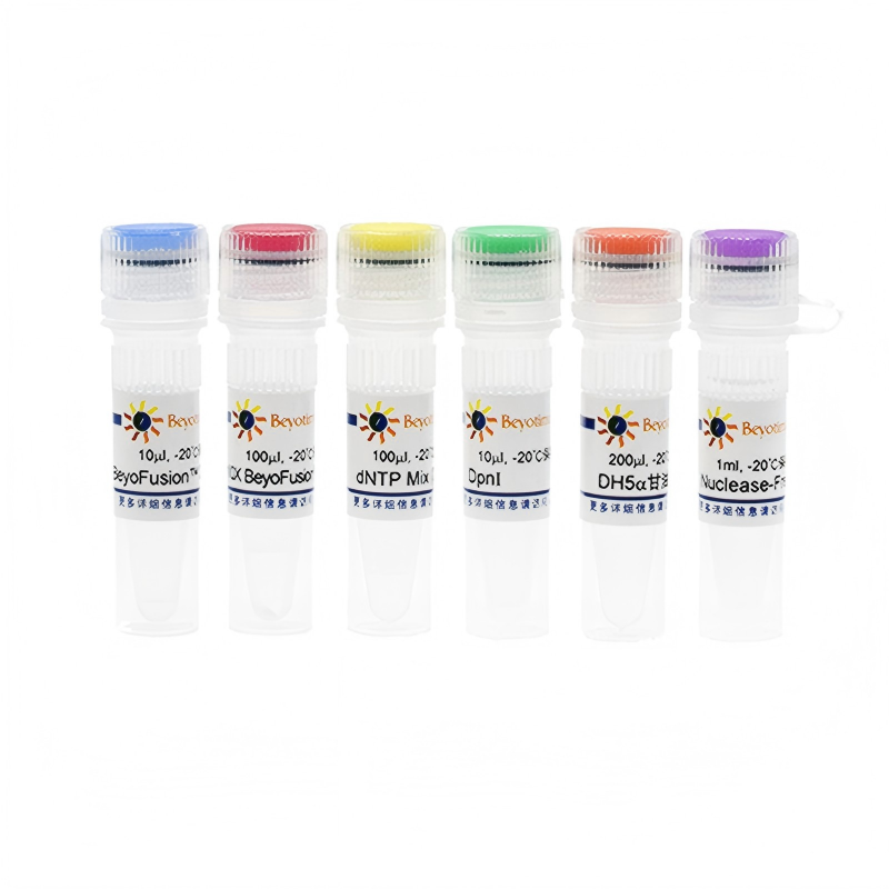 QuickMutation™基因定点突变试剂盒